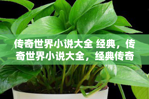 传奇世界小说大全 经典图片