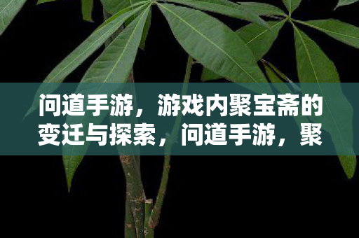 问道手游，游戏内聚宝斋的变迁与探索，问道手游，聚宝斋的变迁与探索之路