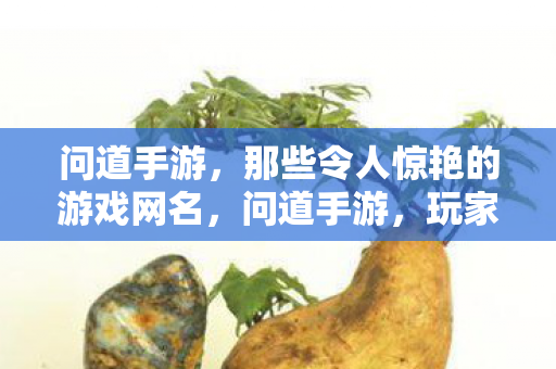 问道手游,那些令人惊艳的游戏网名,问道手游,玩家创意无限,惊艳游戏网名大赏 问道手游,那些令人惊艳的游戏网名,问道手游,玩家创意无限,惊艳游戏网名大赏