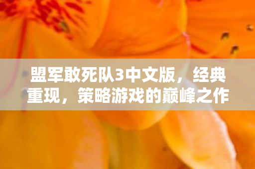 盟军敢死队3中文版图片