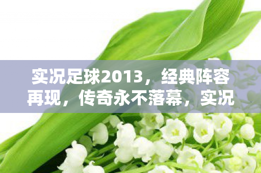 实况足球2013图片