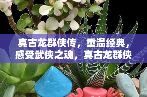 真古龙群侠传图片