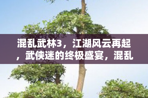 武侠迷的终极盛宴图片