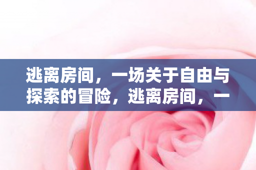 一场关于自由与探索的冒险图片