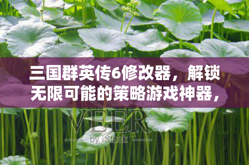 解锁无限可能的策略游戏神器图片