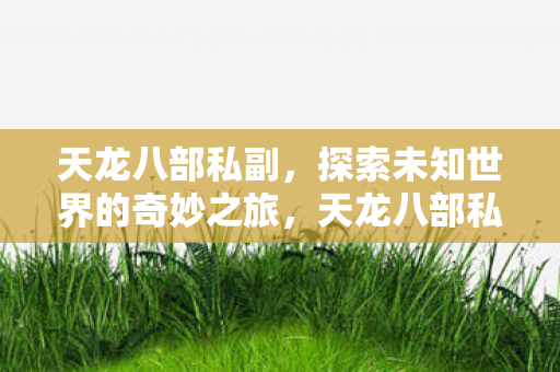 天龙八部私副带你探索未知世界的奇妙之旅图片