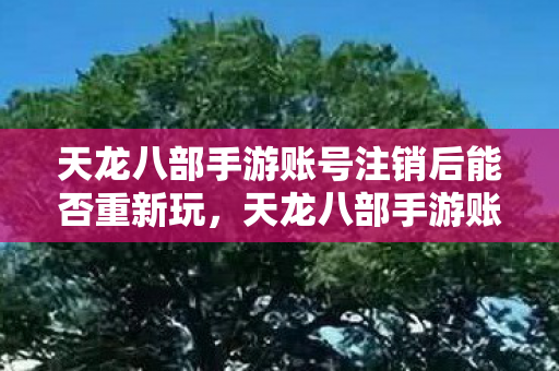 天龙八部手游账号注销后能否重新玩图片