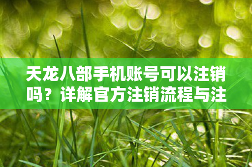 详解天龙八部手机账号官方注销流程与注意事项图片