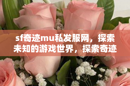 sf奇迹mu私发服网图片