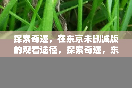 在东京未删减版的观看途径图片