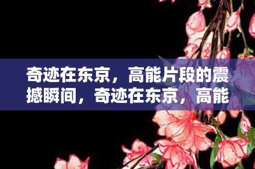 高能片段的震撼瞬间图片