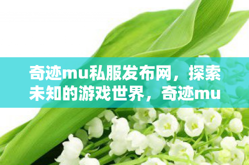 探索未知的游戏世界之旅图片