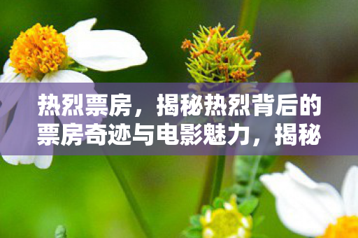 揭秘热烈背后的票房奇迹与电影魅力图片