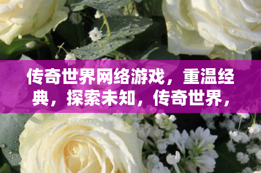 传奇世界网络游戏图片