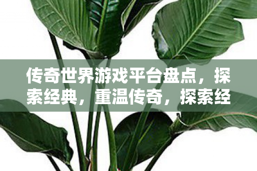 传奇世界游戏平台大盘点图片