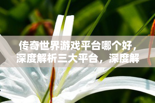 传奇世界游戏三大平台哪家强图片