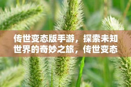 探索未知世界的奇妙之旅图片