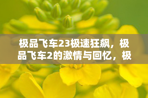 重温极品飞车2的激情与回忆图片