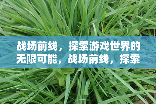 探索游戏世界的无限可能图片