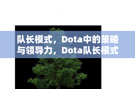 Dota中的策略与领导力图片