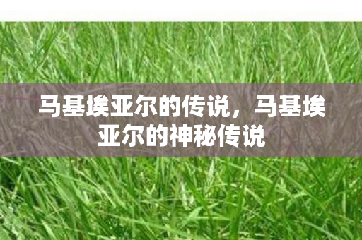 马基埃亚尔的神秘传说图片