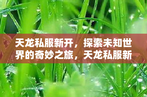 探索未知世界的奇妙冒险之旅图片