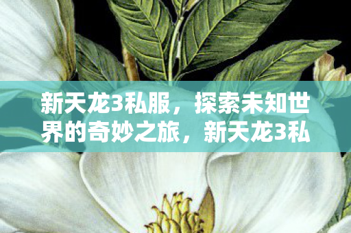 探索未知世界的奇妙之旅图片
