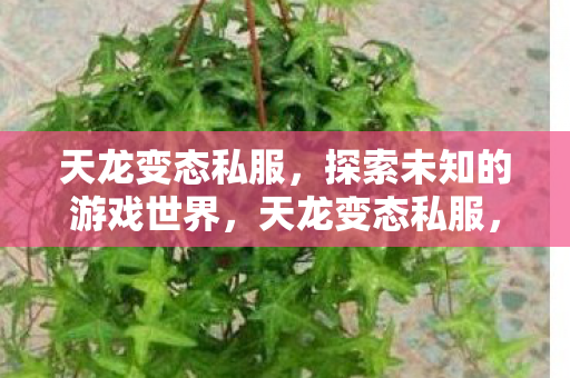 探索未知的游戏世界图片