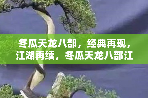 冬瓜天龙八部江湖再续图片