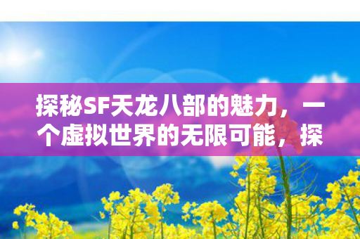 探秘SF天龙八部的魅力图片