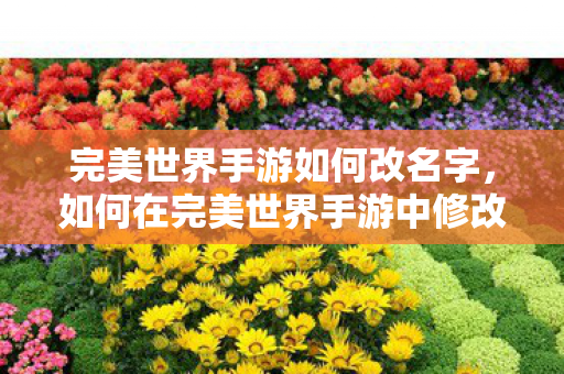 如何在完美世界手游中修改角色名字图片