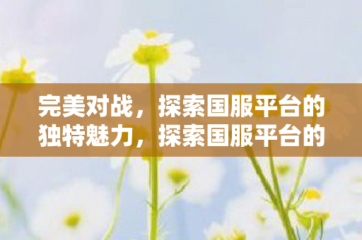 探索国服平台的独特魅力图片