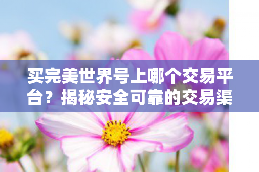 揭秘安全可靠的完美世界账号交易平台图片