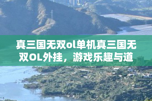真三国无双ol单机真三国无双OL外挂图片