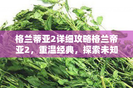 格兰蒂亚2详细攻略格兰帝亚2图片