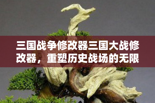 三国战争修改器三国大战修改器图片