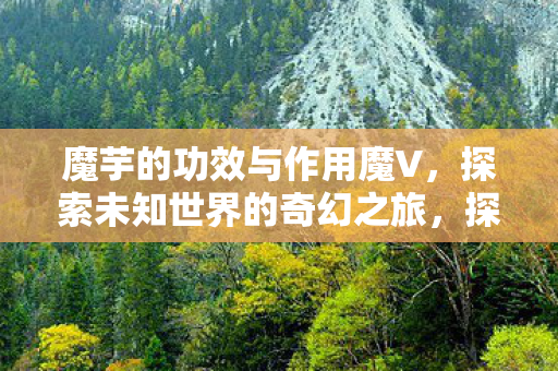 探索未知世界的奇幻之旅图片