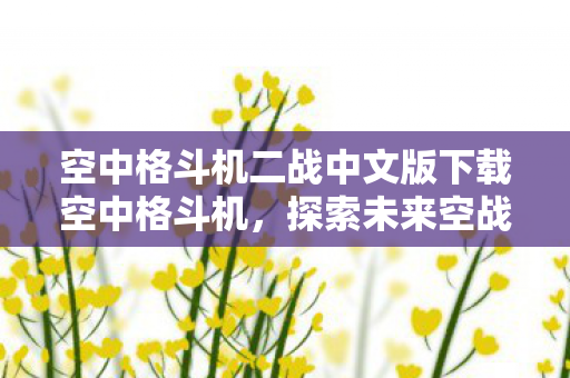 空中格斗机二战中文版下载空中格斗机图片