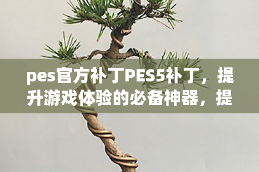 pes官方补丁PES5补丁图片