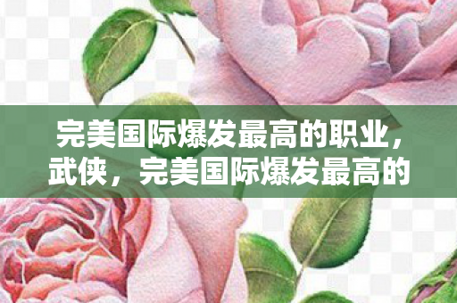 完美国际爆发最高的职业图片