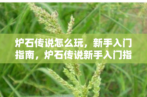 炉石传说新手入门指南图片