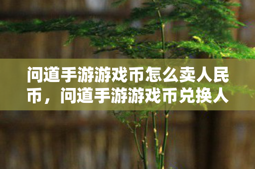问道手游游戏币怎么卖人民币，问道手游游戏币兑换人民币攻略
