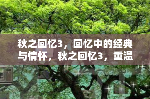 回忆中的经典与情怀图片