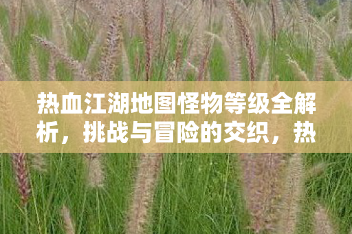 热血江湖地图怪物等级全解析,挑战与冒险的交织,热血江湖,地图怪物等级全解析,挑战与冒险的交织 热血江湖地图怪物等级全解析,挑战与冒险的交织,热血江湖,地图怪物等级全解析,挑战与冒险的交织