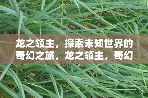 探索未知世界的奇幻之旅图片