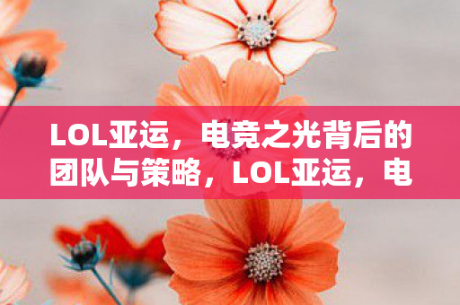 电竞之光背后的团队与策略图片