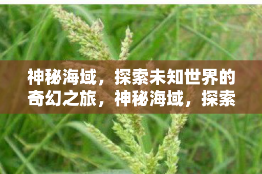 探索未知世界的奇幻之旅图片