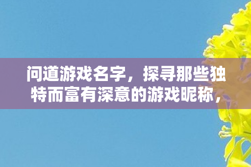 问道游戏名字，探寻那些独特而富有深意的游戏昵称，探寻问道游戏中独特而富有深意的游戏昵称