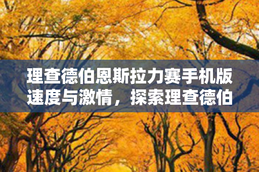 理查德伯恩斯拉力赛手机版速度与激情图片