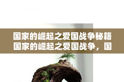 国家的崛起之爱国战争秘籍国家的崛起之爱国战争图片